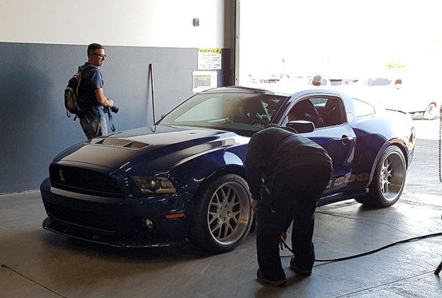 sema4-shelhertigae122